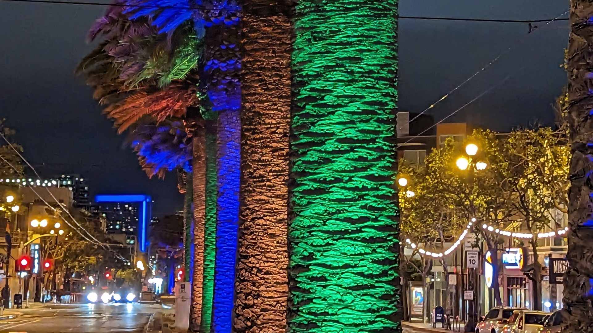 Market Street Tree Lights
