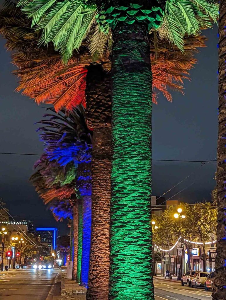 Light Up the Castro's Market Street Palm Trees Castro Community